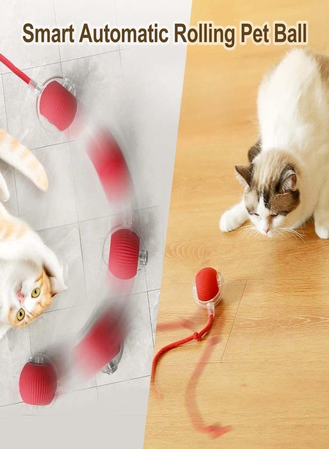 LARYNX Interactive Cat Toys Rolling Ball, Interactive Dog Ball Toy with USB Rechargeable, stimulating Dogs Toy - Image 2